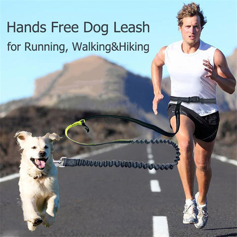 runners dog lead