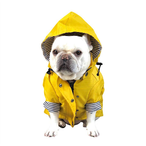 small dog raincoat with hood