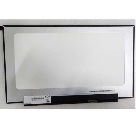 1080 Notebook Laptop Lcd Screen Monitor 