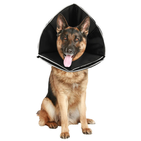 buy dog cone