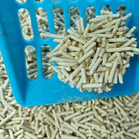 wheat cat litter