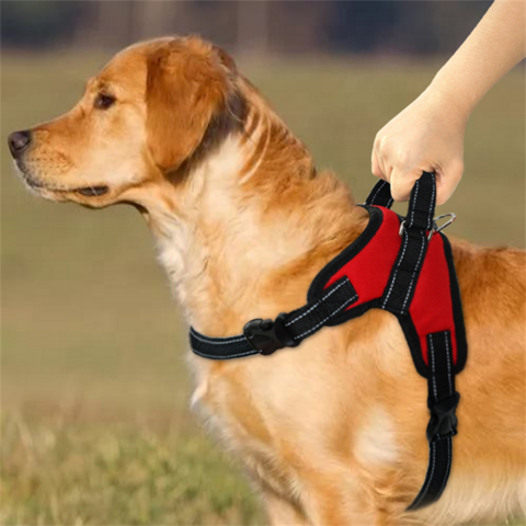 soft padded dog harness