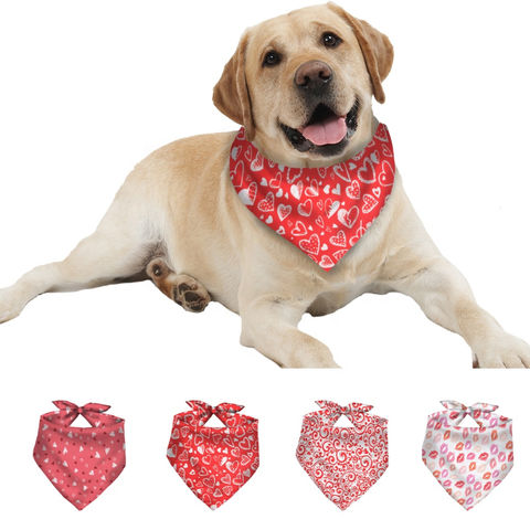 Polyester Dog Bandana Large Pet Dogs reversible with quotes