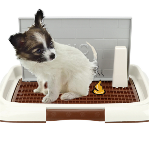 Buy Wholesale China Portable Dog Training Toilet Indoor Dogs Potty