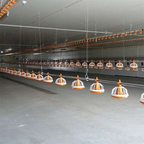 Buy Wholesale China Prefab Steel Structure Design Chicken Farm Building