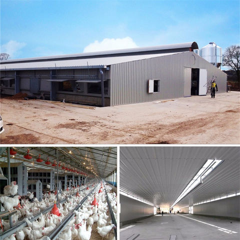 China Professional design Steel Prefab Chicken House in Poultry Farm on ...