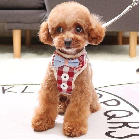 Buy Wholesale China Dog Chest Harness Thick Waterproof Pet Chest Strap Designer  Dog Harness Pet Prong Collar And Leash & Pet Harnesses at USD 13.59