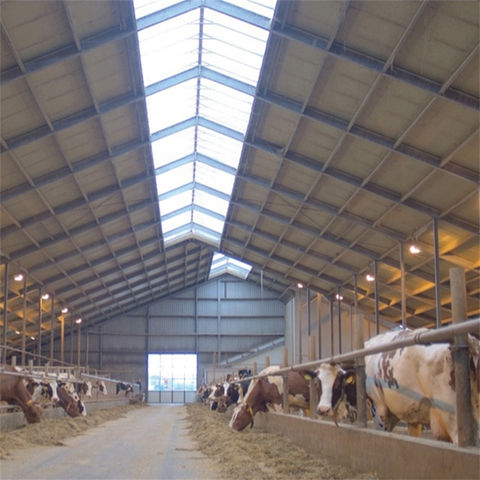 China Prefab cow dairy farm housing steel building Cattle Cow shed ...