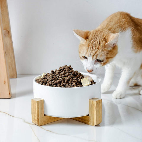 https://p.globalsources.com/IMAGES/PDT/B1188263964/pet-bowl.jpg