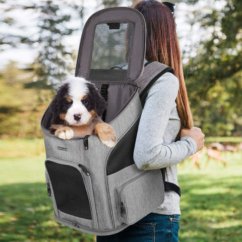 Buy Wholesale China Soft Sided Cat Carriers For Medium Cats Sturdy Pet  Carrier & Pet Carrier Bag at USD 9.5