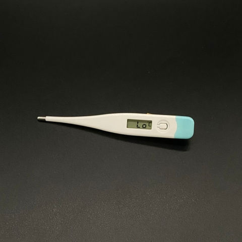 Buy Wholesale China Small Digital Oral Thermometer Armpit Digital Rigid  Thermometer For Baby And Adult & Small Digital Thermometer at USD 0.3