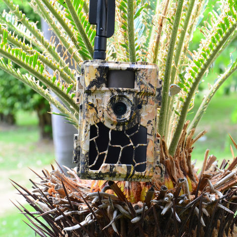 Trail Cameras For Security & Outdoor Surveillance