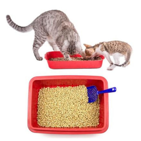 eco pine cat litter