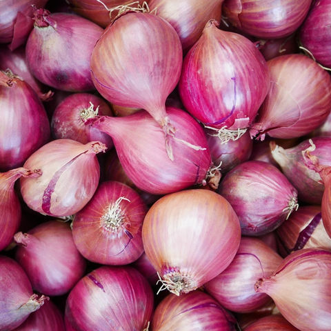 Fresh Red Onions 8cm and up Packing in 10kg/Bag - China Onion, Fresh Onion