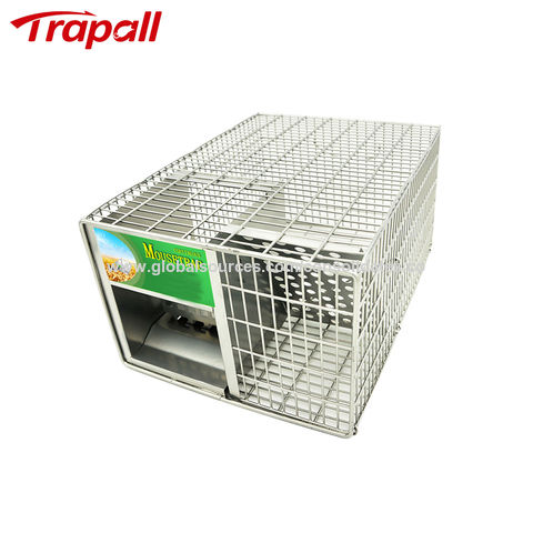https://p.globalsources.com/IMAGES/PDT/B1188789357/Metal-Mouse-Cage-Trap.jpg