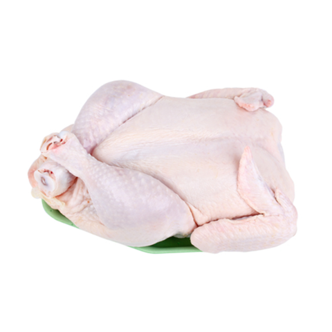 Buy Wholesale Canada Export Grade Halal Frozen Whole Chicken Chicken