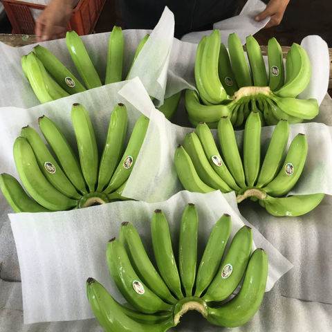 https://p.globalsources.com/IMAGES/PDT/B1188832757/Fresh-bananas.jpg