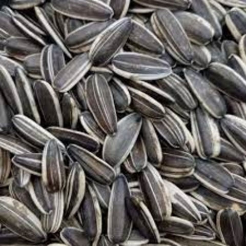 Qiaqia food roasted sunflower seeds sunflower kernel seeds sunflower ...