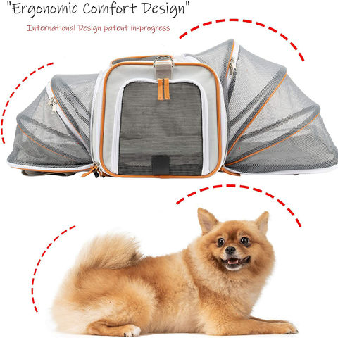 Soft-Sided Kennel Pet Carrier for Small Dogs, Cats, Puppy, Airline Approved  Cat Carriers Dog Carrier Collapsible, Travel Handbag & Car Seat 