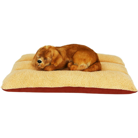 Couverture imperméable pour chien, canapé-lit lavable, protection de  meubles, peluche