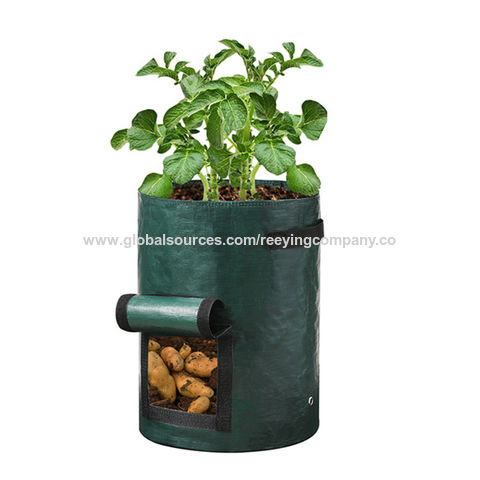 https://p.globalsources.com/IMAGES/PDT/B1188935911/plant-grow-bag.jpg