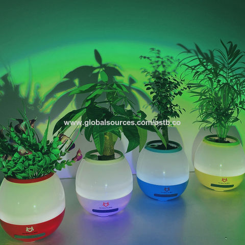 smart music flowerpot