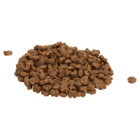 Wholesale dog hotsell food suppliers