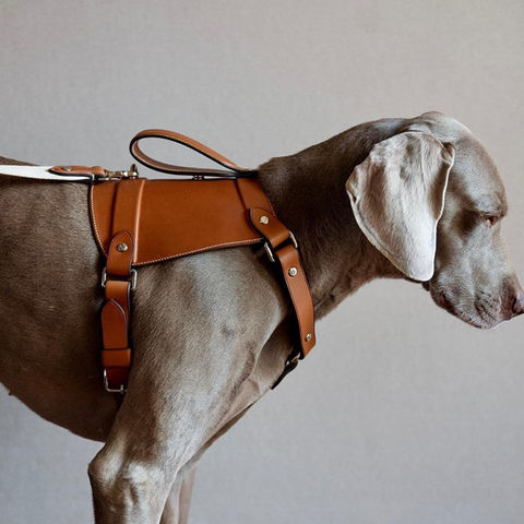Brown hand made leather dog harness