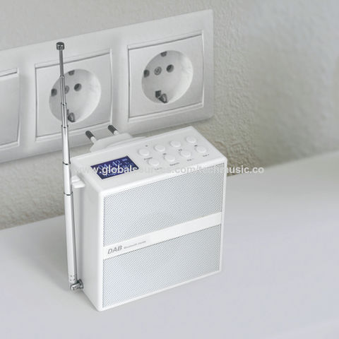 Buy Wholesale China Private Socket Dab Radio+ Bluetooth Speaker Support ...