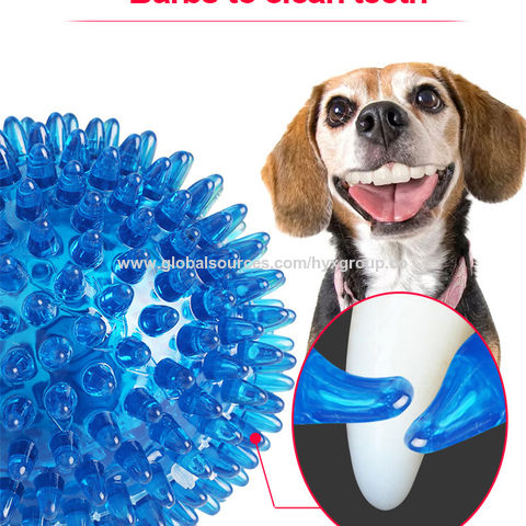 Dog Toys Suction Cup Tug Interactive Bite Resist Tooth Cleaning