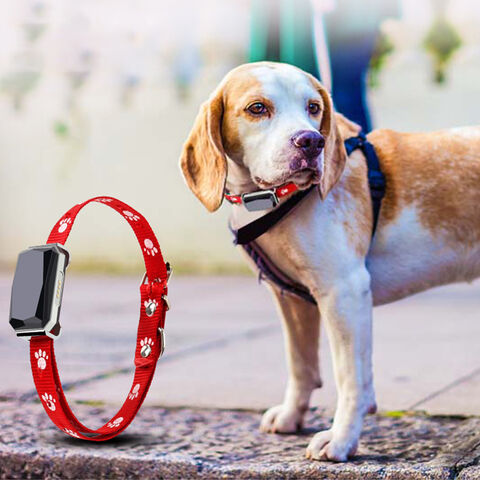 Cheap dog tracking systems for clearance sale