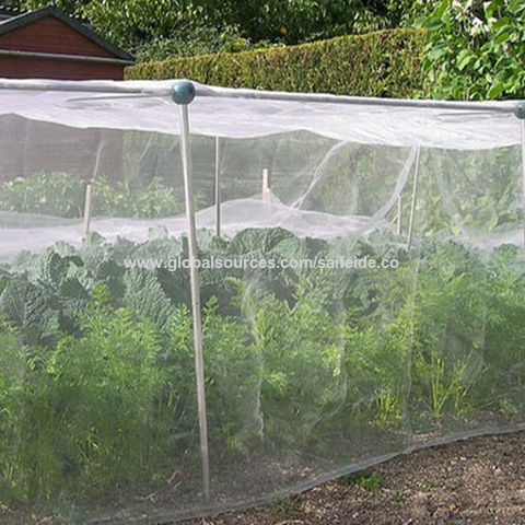 Insect Net Tree Protection Hail Net Bag Bird Net White Plastic Net Cover  $0.15 - Wholesale China Snail Farm Netting at factory prices from Weihai  Saifeide Plastic And Chemical Industry Co.,Ltd