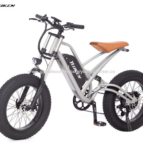 Chopper Electric Bike