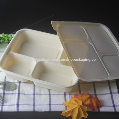 https://p.globalsources.com/IMAGES/PDT/B1189641505/Disposable-Food-Containers.jpg