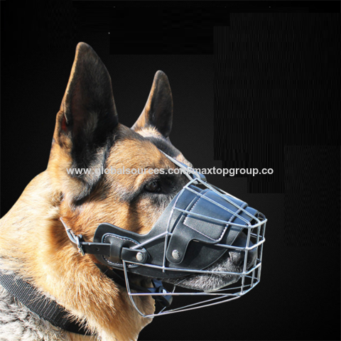 a safe dog muzzle