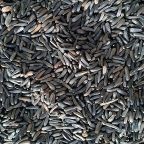 niger seed for sale