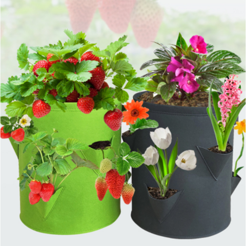 Plant Grow Bags with Handles for Strawberry, Tomato, Potato, Peanut and Other Plants