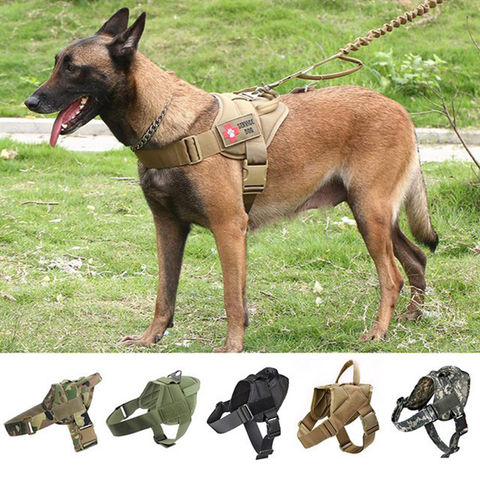 Hot Selling Pet Accessories Dog Leads Collar and Harness Set Pet  Supplies - China Dog Collar and Dog Harness price