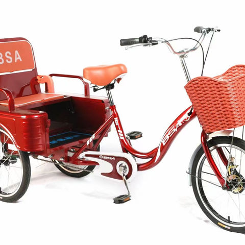 Compre Triciclo Para Adultos, Bicicleta De 24'' Con Tres Ruedas