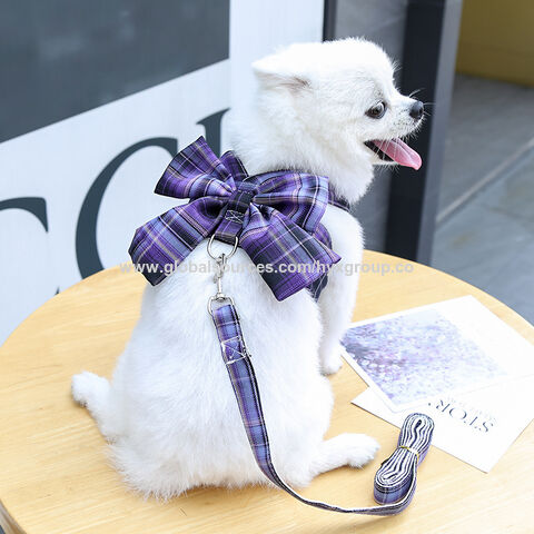 Harnais et laisses pour lapins et petits animaux de compagnie, ensemble d'accessoires bon marché, harnais en maille souple pour cobayes