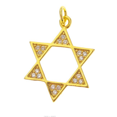14k Yellow Gold Textured Star of David Religious Pendant with 1.5-mm Flat Wheat Chain 