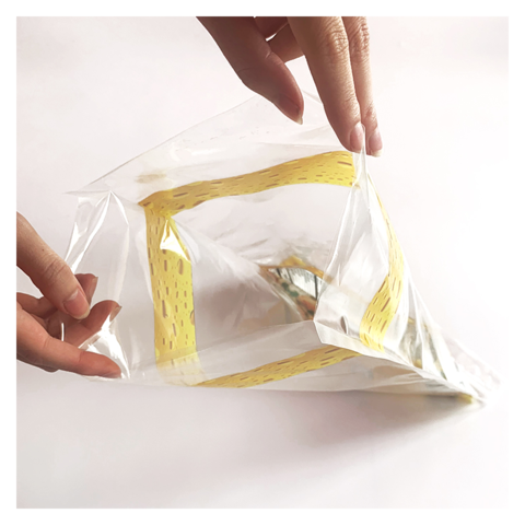 Plastic Bag Food Vacuum Sealer - China Vacuum Sealer and Plastic Bag Sealer  price