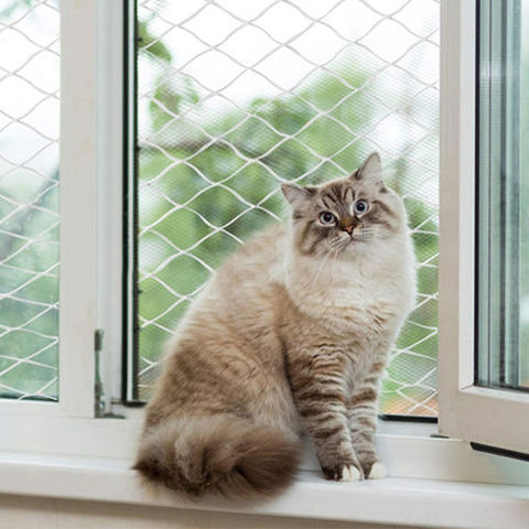 Buy Standard Quality China Wholesale Safety Net Window Safety Cat