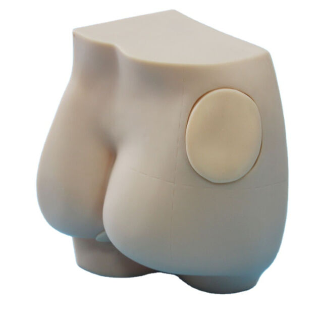 محاكي حقن عضلي في الأرداف للعلوم الطبية - نماذج طبية for sale at factory direct price