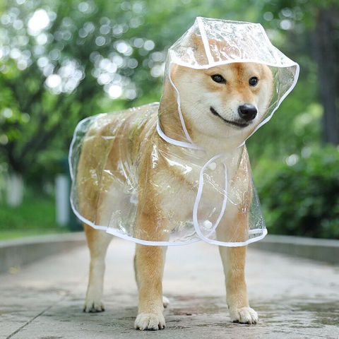 Buy Wholesale China Raincoat Outdoor Large Waterproof Clear Dog Rain Coat Jacket Clothes Pet Pvc Dog Raincoat & Dog Raincoats at 1.87 | Global Sources