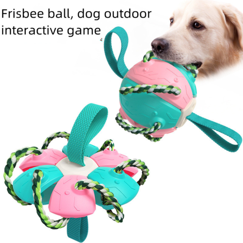 Interactive Fish Toy Dog, Floppy Fish Toy Dogs, Dogs Toys Toothbrush