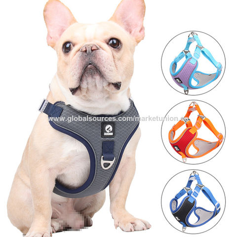 Buy Wholesale China Pet Leash Vest style Dog Harness Breathable Mesh Dog Leash Dog Chest Harness Pet Harness at USD 2.52 Global Sources