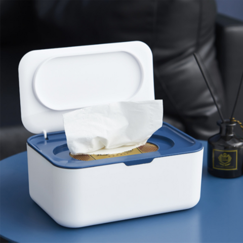 2022 Neuheit: Feucht- und Trockentuchbox, versiegelt und staubdicht, Maskenaufbewahrungsbox – Bestseller for sale at factory direct price