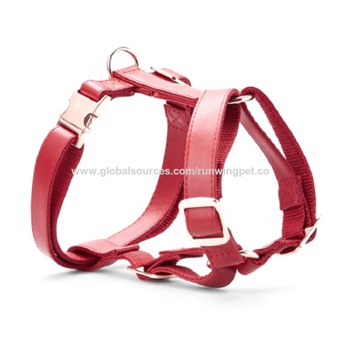 Luxury Dog Lead & Harness Set in Pink