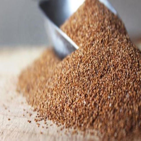 Buy Wholesale United States Teff Grain For Sale Premium Teff Flour ...